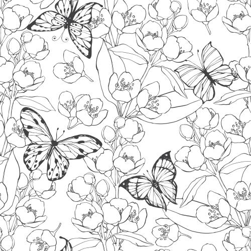 Schmetterling. Vektor Jasmin und Schmetterlinge auf weißem