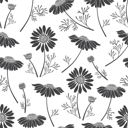 Gänseblümchen. Vektor Kamillen, schwarze Silhouetten auf weißem