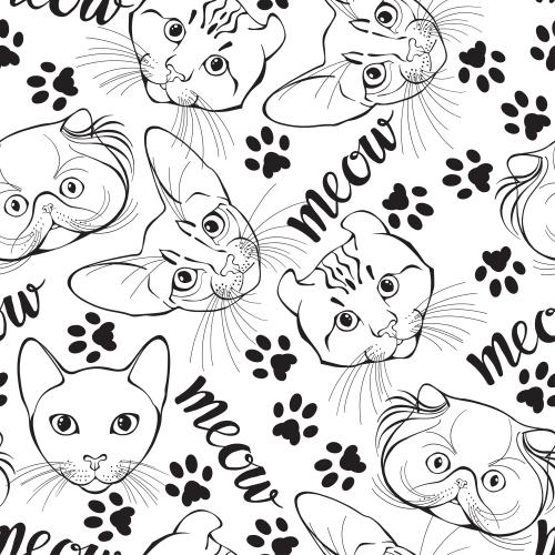 American curl. Vektor Mäulchen verschiedener Katzenrassen, Pfotenabdrücke, Schriftzug Meow auf weißem