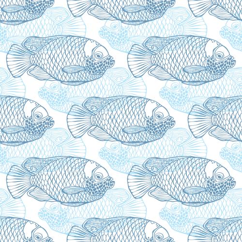 Vektorgrafik blaue kaiserfische, blaue und hellblaue konturen auf weiß