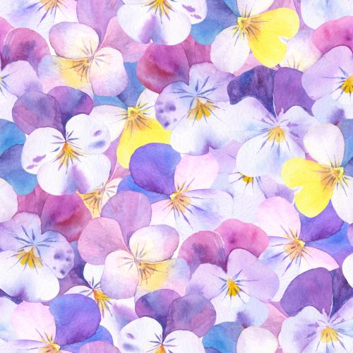 Rasterbild aquarell-kornblumen