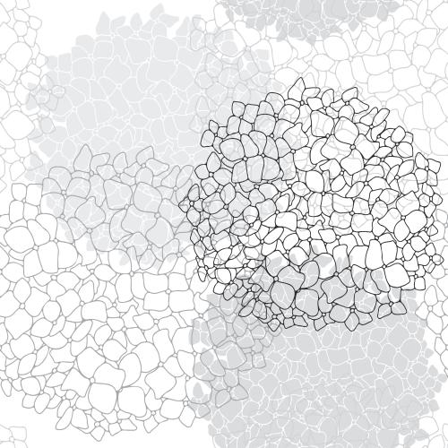 Hortensie. Vektor runde Blütenstände der Hydrangea, Silhouetten und Konturen von Blumen auf weißem