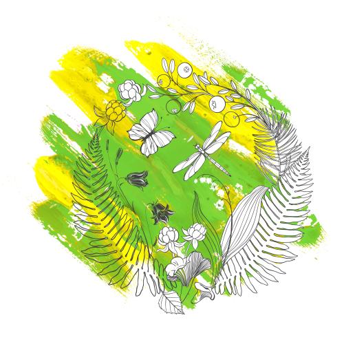 Kranbeere. Vektor Waldkomposition im Kreis, Farnblätter, Kapuzinerblumen, Maiglöckchen, Waldbeere, Kranbeere, Lisichens, Libelle, Libelle auf farbigem Gemälde