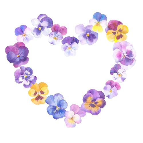Rasterbild aquarell-kornblumen, blumenrahmen herzförmig auf weißem