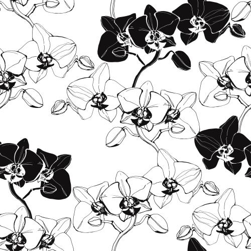 Vektorgrafik orchideen, schwarze konturen und silhouetten auf weißem