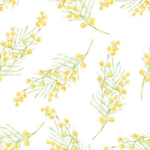 Rasterbild aquarellzweige mimosen auf weißem