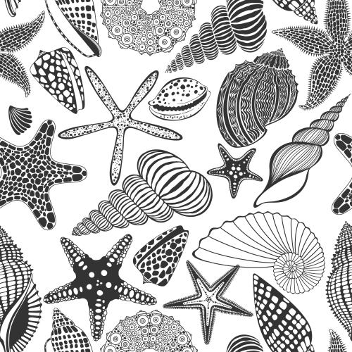 Seeigel. Vektor Meersterne, Muscheln, Meeresspindel auf weißem