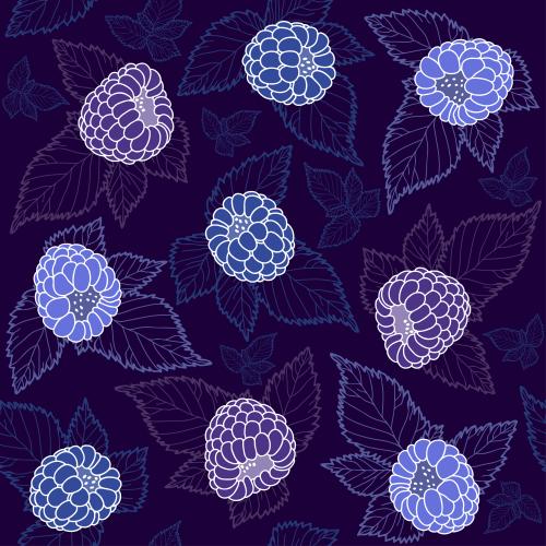 Brombeere. Vektor himbeeren mit Blättern auf lila