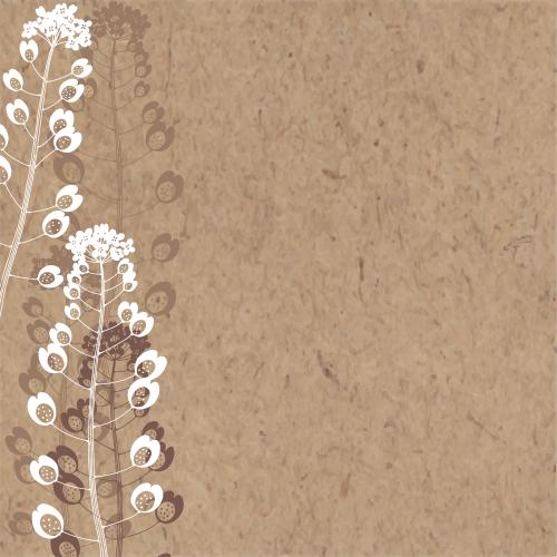 Vektorgrafik silhouetten und konturen der wiesenblumen platz für text auf kraft