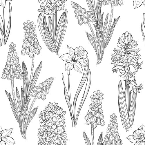 Narzisse. Vektor Frühjahrsblumen: Muskatblumen, Hyazinthen und Narzissen auf weißem