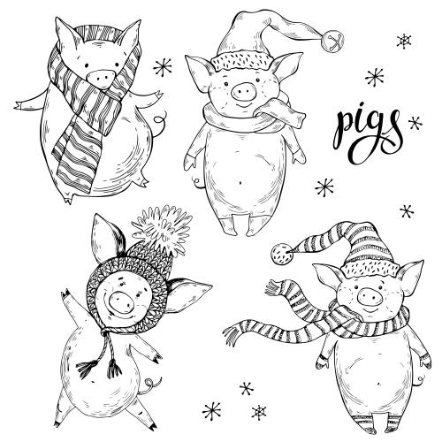 Schnee. Vektor vier fröhliche cartoonartige Schweinchen in Winterkleidung Schneeflocken auf weißem