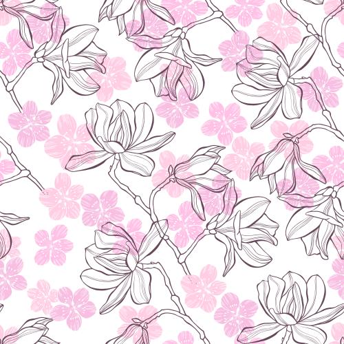 Kirschblüte. Vektor blumen Magnolien und Kirschblüten, farbige Konturen und Silhouetten auf weißem