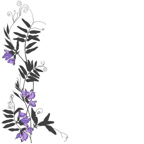 Vektorgrafik feldblumen, platz für text auf weissem