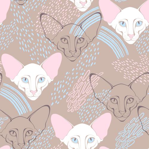 Oriental katze. Vektor kater Oriental, hübsche Gesichter, dekorative Fragmente auf pastelligem braunem