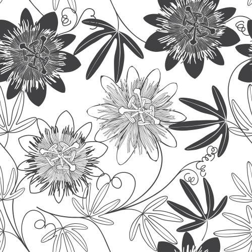 Passionsblume. Vektor Passionsblume-Passiflora, monochrome Blumen und Blätter auf weiß