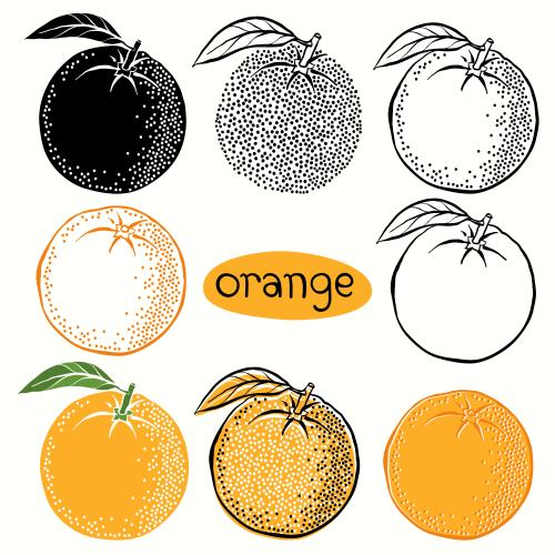 Frucht. Vektor Orange, acht verschiedene Varianten auf weißem Hintergrund