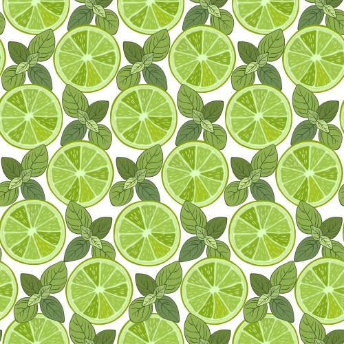 Zitrusfrucht. Vektor limettenscheiben und Minzenblätter auf weißem