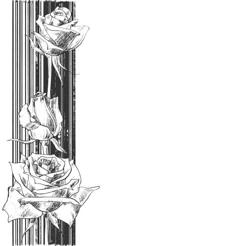 Streifen. Vektor rosen auf dem gestreiften, Platz für Text auf dem weißen