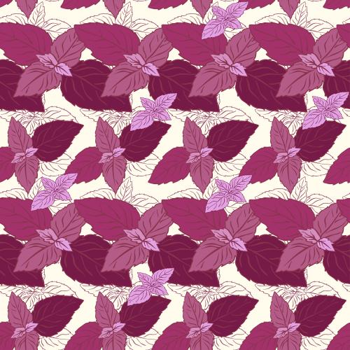Basilikum. Vektor violettes Basilikum auf hell