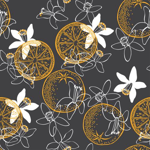 Zitrusfrucht. Vektor blumen Neroli und Orangen auf schwarzem