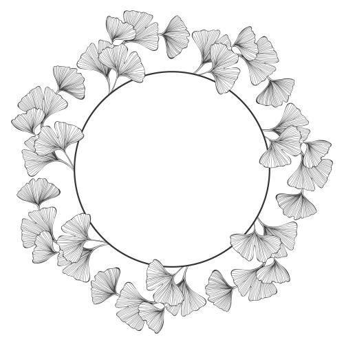 Ginkgo biloba. Vektor runde Rahmen mit Blättern von Ginkgo biloba auf weißem