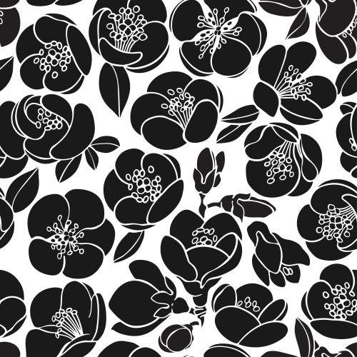 Japanische quitte. Vektor japanische Quince, schwarze Silhouetten von Blumen auf weißem