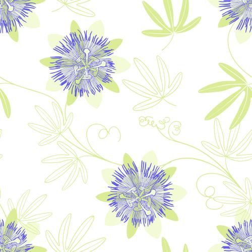 Passionsblume. Vektor Passionsblume-Passiflora, Blumen und Blätter auf weißem