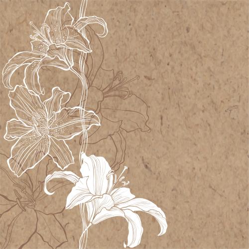 Lilie. Vektor blumen Lilien, Platz für Text auf Kraft