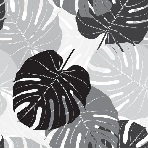 Palme. Vektor monochrom Palmenblätter auf weiß