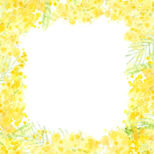 Rasterbild aquarellmimose, quadratischer rahmen auf weißem