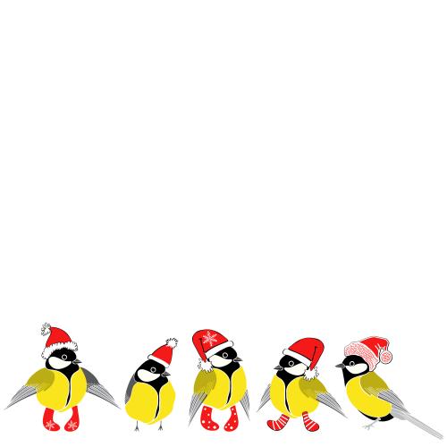 Meise. Vektor sperlinge in Weihnachtsmützen und Socken Textplatz auf weißem