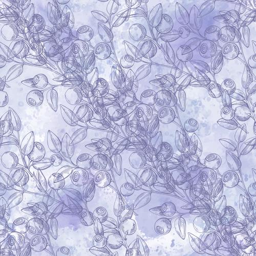 Vektorgrafik blaubeerzweige mit beeren farbige konturen auf lila akvarell