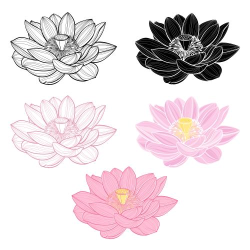 Lotus. Vektor Lotosblüten, fünf verschiedene Varianten auf weißem