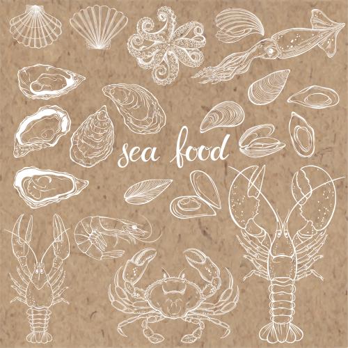 Miesmuschel. Vektor Meeresprodukte: Lobster, Krabbe, Krebs, Garnelen, Muscheln, Austern, Schnecken, Tintenfisch, Kohlmar auf Kraft