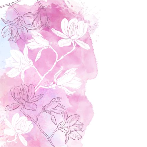 Vektorgrafik magnolie, konturen und silhouetten auf aquarell, platz für text auf weißem