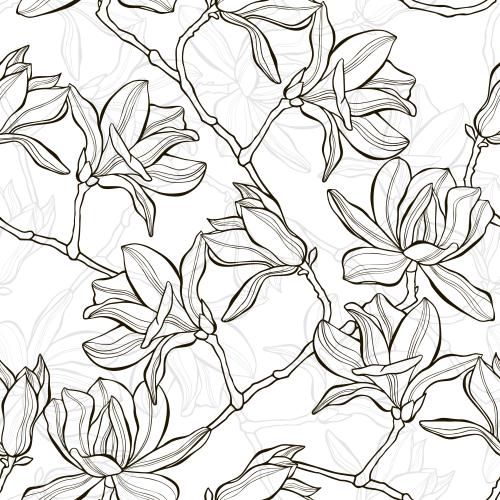 Vektorgrafik blühende magnolienzweige auf weißem