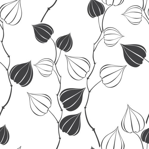 Physalis. Vektor Physalis auf weißem