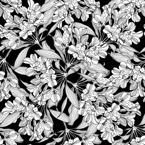 Alstroemeria. Vektor alstroemerienblumen auf schwarzem