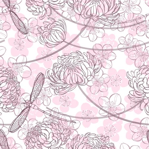 Chrysantheme. Vektor Chrysanthemum, Sakura-Blüten und Libellen auf weißem
