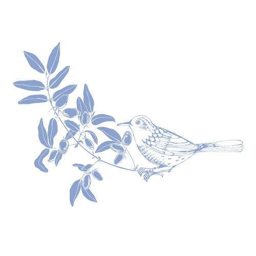 Heckenkirsche. Vektor Vogel auf dem Hedera-Zweig