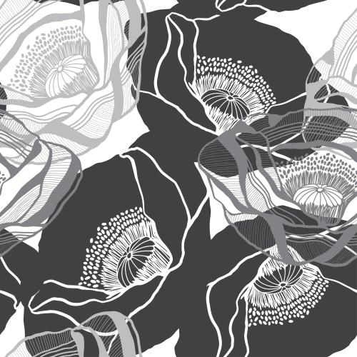 Mohn. Vektor silhouetten Und Konturen Von Mohnblüten Auf Weißem