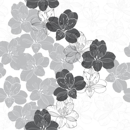 Alstroemeria. Vektor blumen Alstroemerien, monochrome Konturen und Silhouetten auf weißem