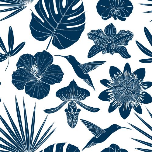 Monstera. Vektor Kolibri, Orchideen, Hibiskus, Passiflora, Palmenblätter, Monstera auf weißem