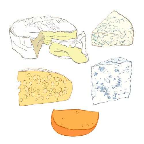 Französische. Vektor fünf Sorten Käse auf weißem