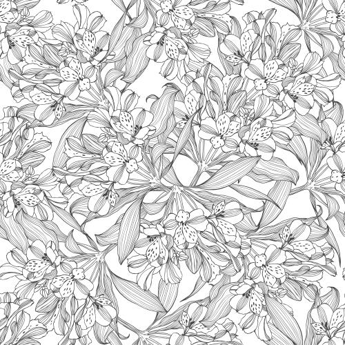 Alstroemeria. Vektor blumen Alstroemerien, Konturen auf weißem