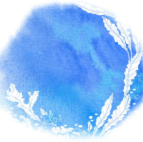 Alge. Vektor Weiße Algensilhouetten, aquarellblau, rundes Fleck mit Textplatz