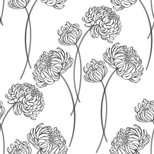 Chrysantheme. Vektor chrysanthemen auf weissem