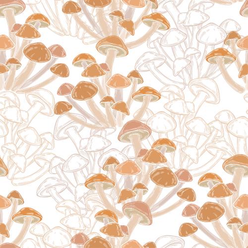 Pilz. Vektor pilze farbige konturen und silhouetten auf weissem