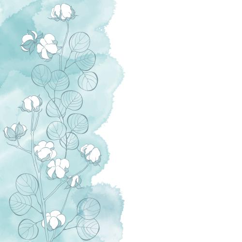 Eukalyptus. Vektor zweige aus Baumwolle und Eukalyptus auf einem blauen Aquarell-Fragment, Platz für Text auf weißem