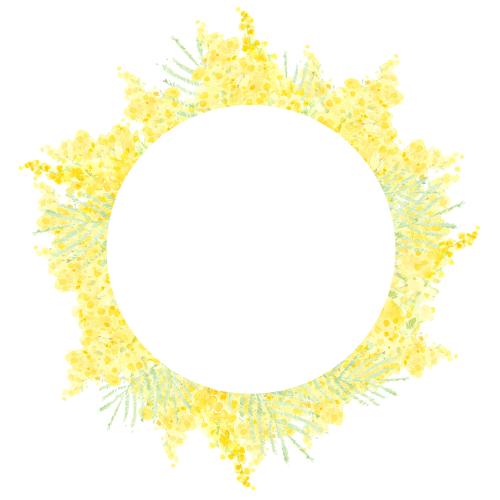 Rasterbild aquarellartige mimose, runde rahmen auf weißem